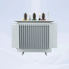 Oil Immersed Transformer